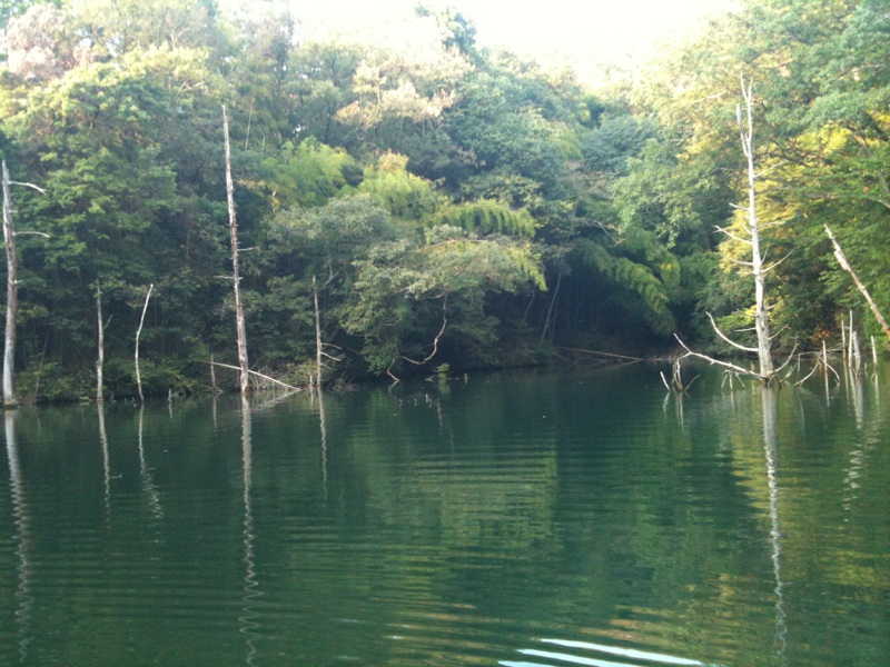 e0191842_18463571.jpg