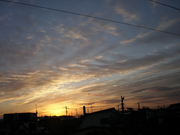 c0153444_6123978.jpg