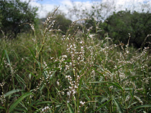 c0179351_19202388.jpg