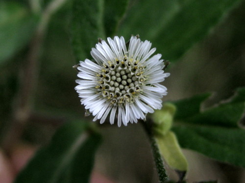 c0179351_1921636.jpg