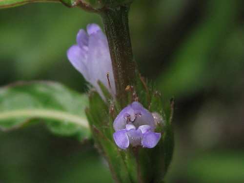 c0179351_19313253.jpg