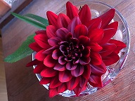 b0204354_21465562.jpg