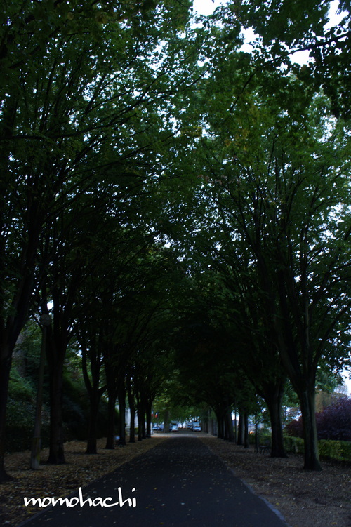 b0205760_0145336.jpg