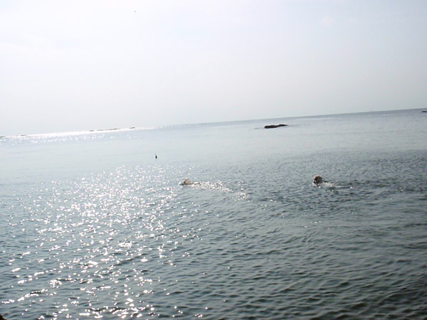 c0110361_11504457.jpg