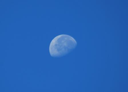 a0072064_21205326.jpg