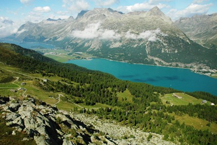 b0167367_337542.jpg