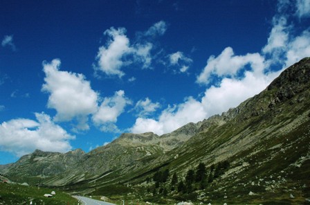 b0167367_3432975.jpg