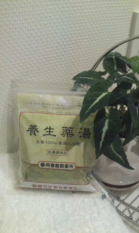 a0140576_1052811.jpg