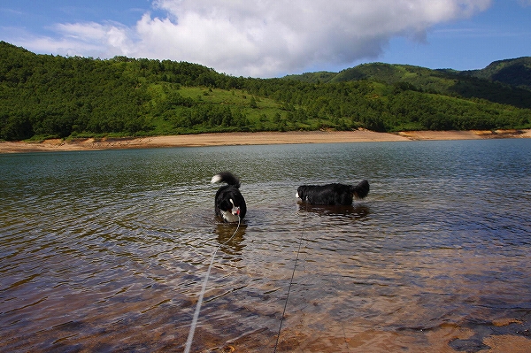 c0149178_15131040.jpg
