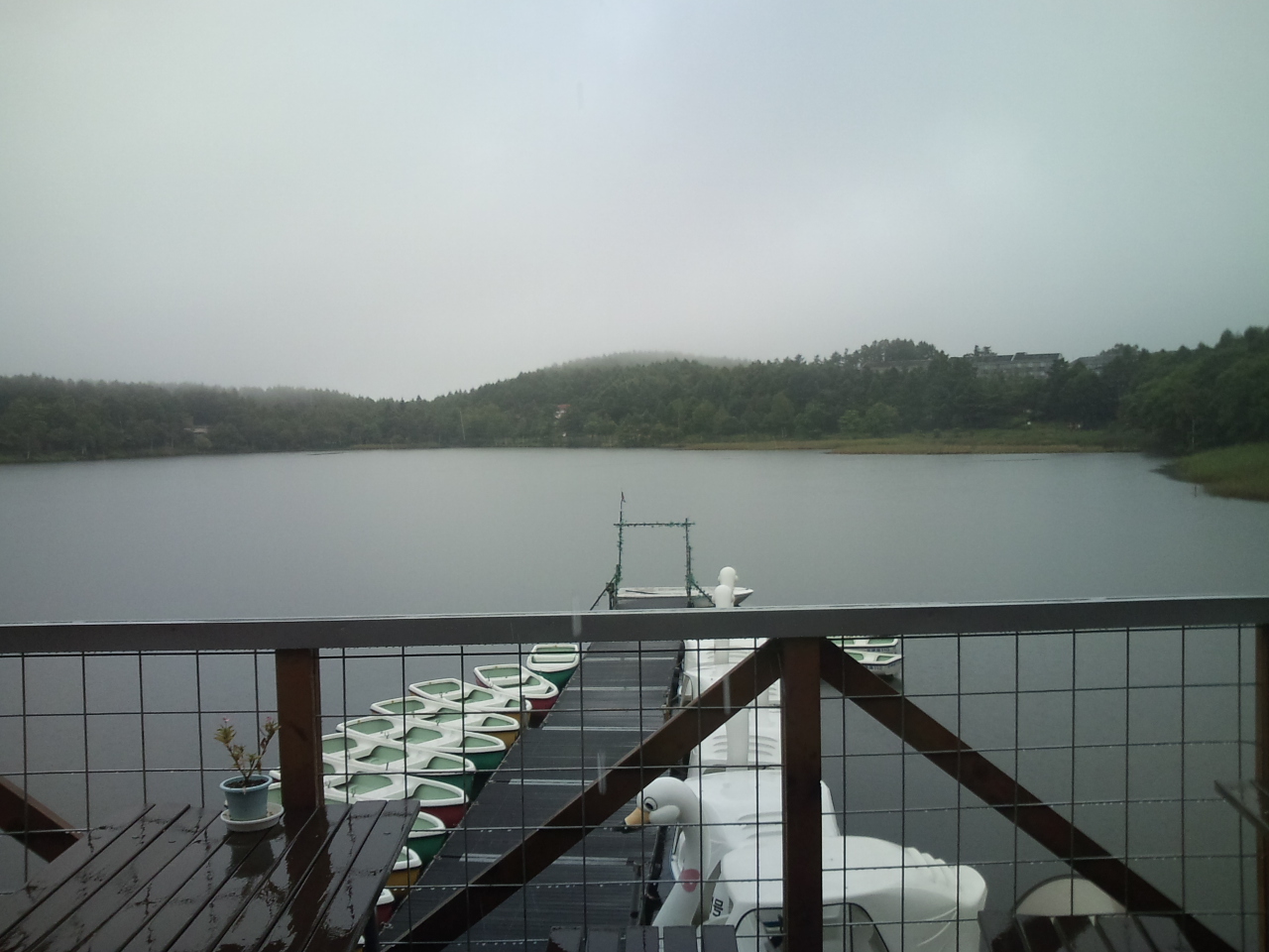 e0024081_1528754.jpg