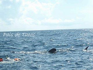 e0150782_0194915.jpg