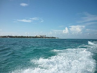 e0150782_0201220.jpg