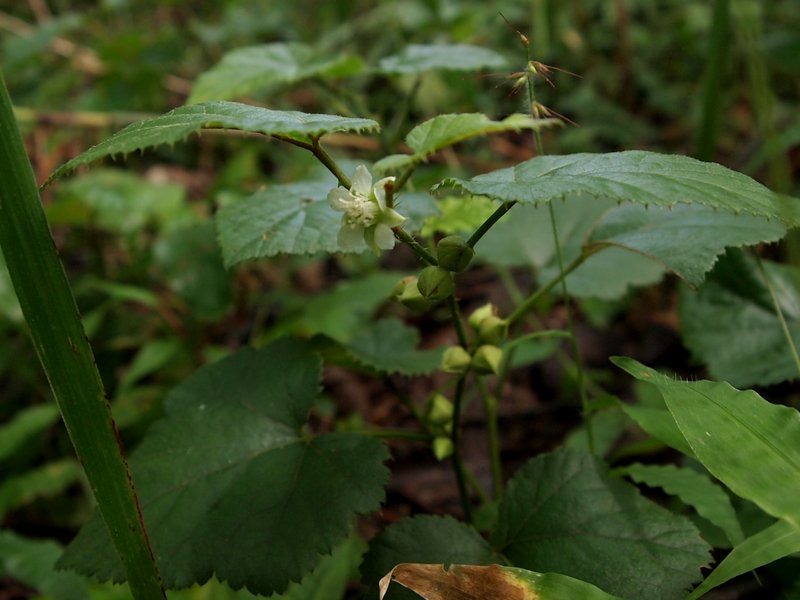 b0108186_21215919.jpg