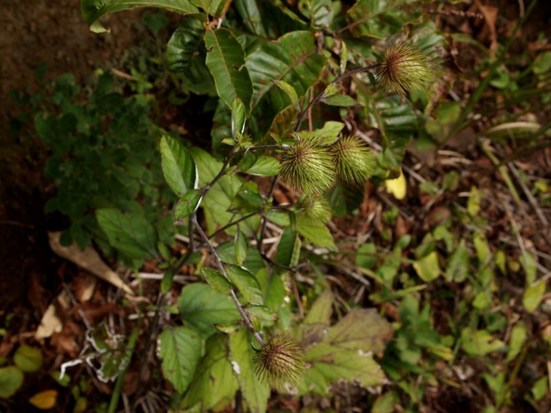 b0108186_21234776.jpg