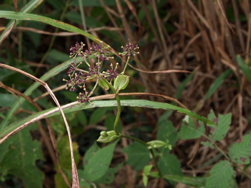 b0108186_2332515.jpg
