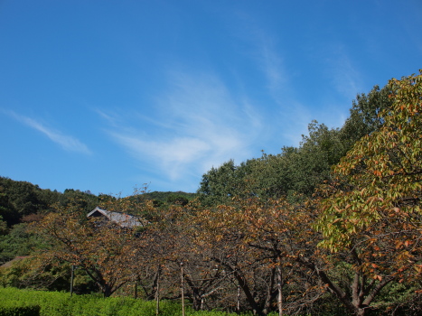 f0103688_22532461.jpg