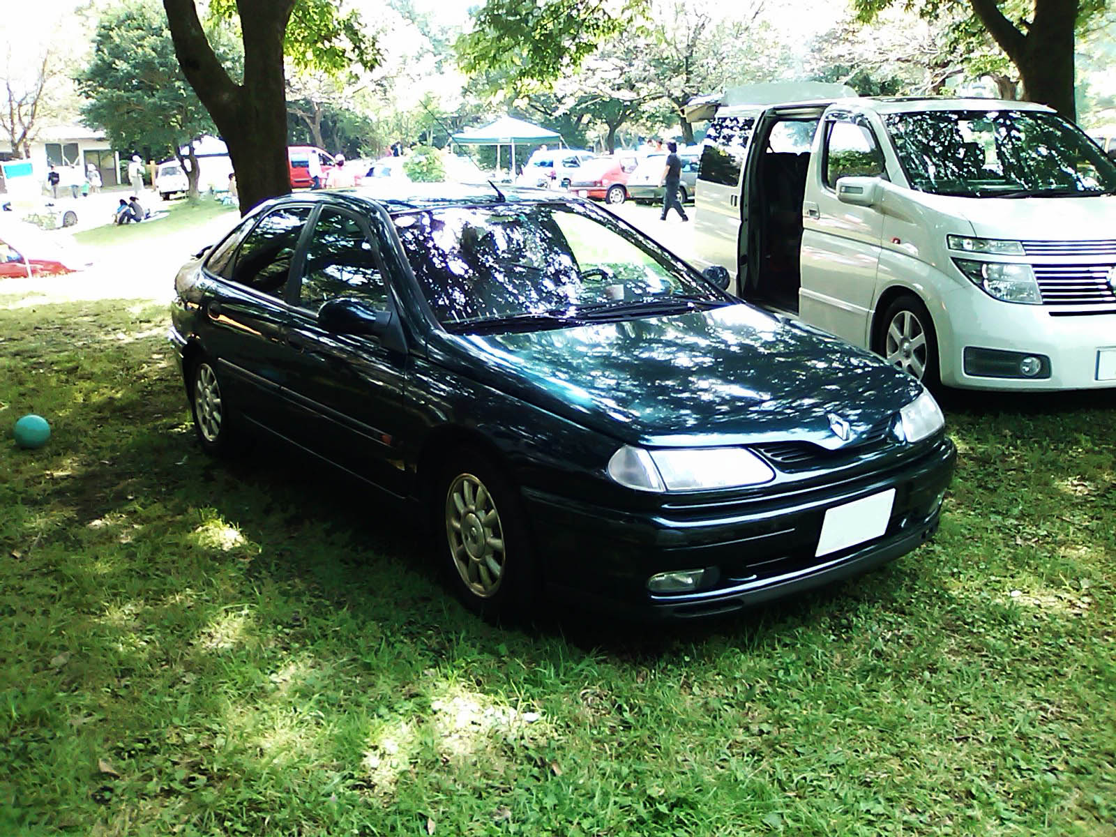 c0184491_2036018.jpg