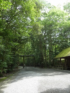 c0077697_19402092.jpg