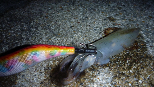c0182098_1428755.jpg
