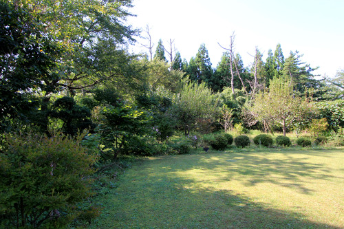 e0054299_9504769.jpg