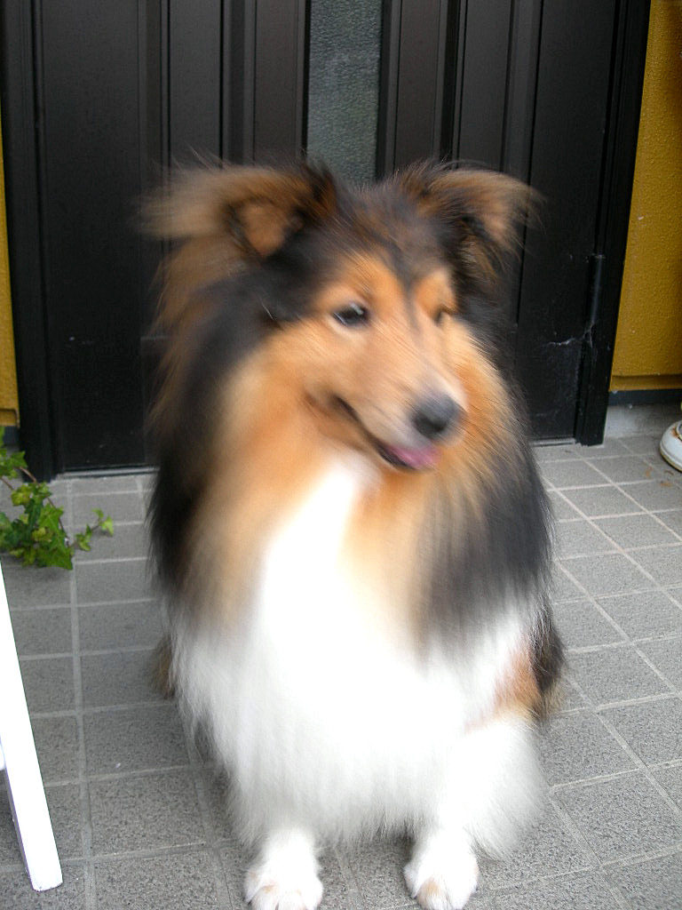 c0220700_21345753.jpg