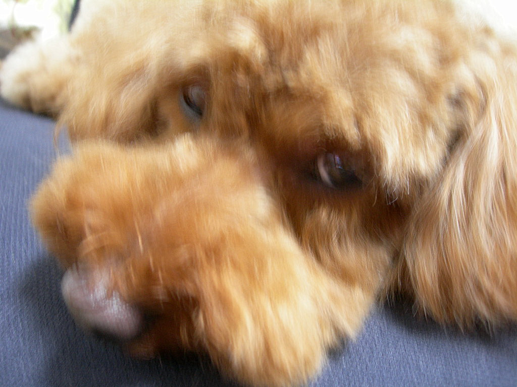 c0220700_21401267.jpg