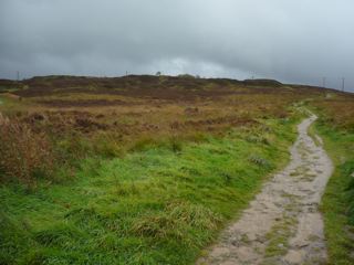 c0203401_20401713.jpg