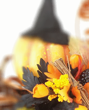 e0175702_15474882.gif