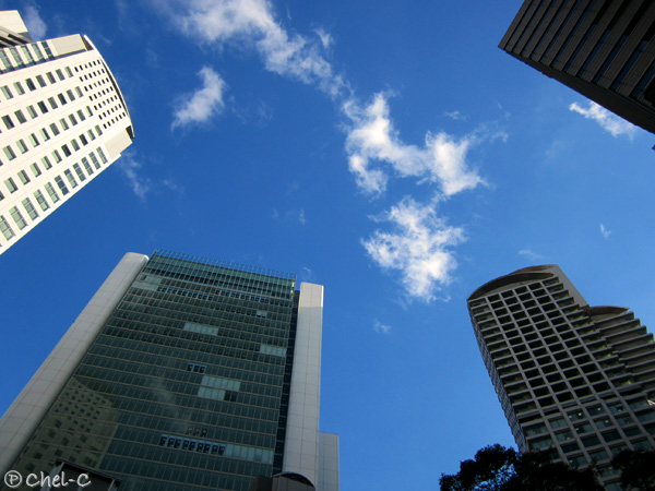 a0154706_20475244.jpg