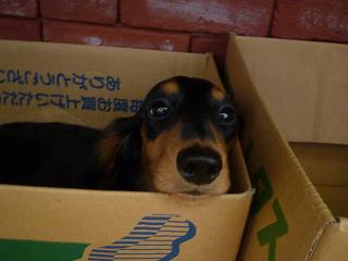 f0226208_16335964.jpg