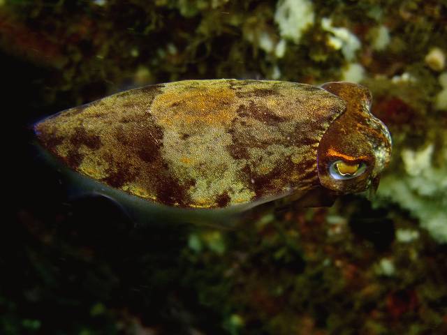 d0175710_18501431.jpg