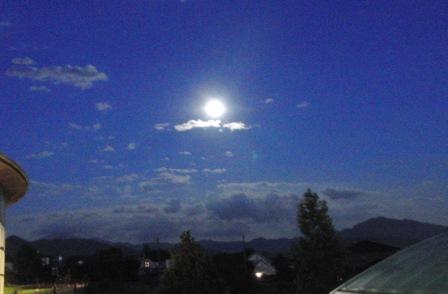 e0078510_1365428.jpg