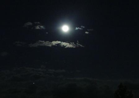 e0078510_1373243.jpg