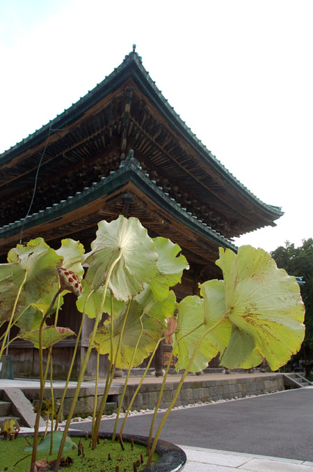 e0082110_2125318.jpg