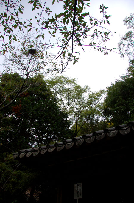 e0082110_2165431.jpg