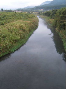 f0079411_2157261.jpg