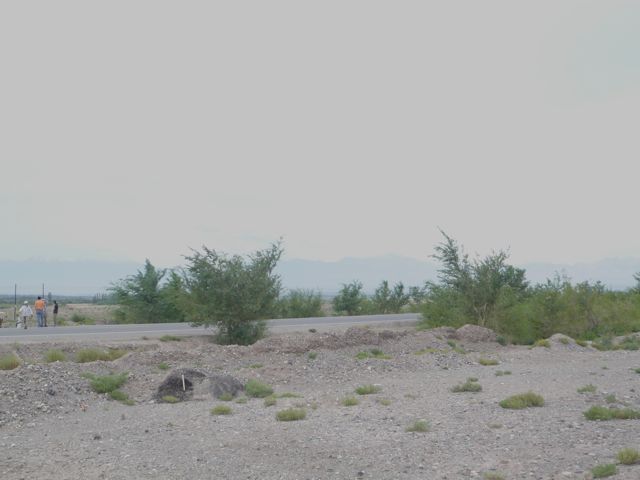 e0111220_075219.jpg