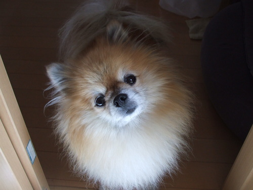 f0025622_13203023.jpg