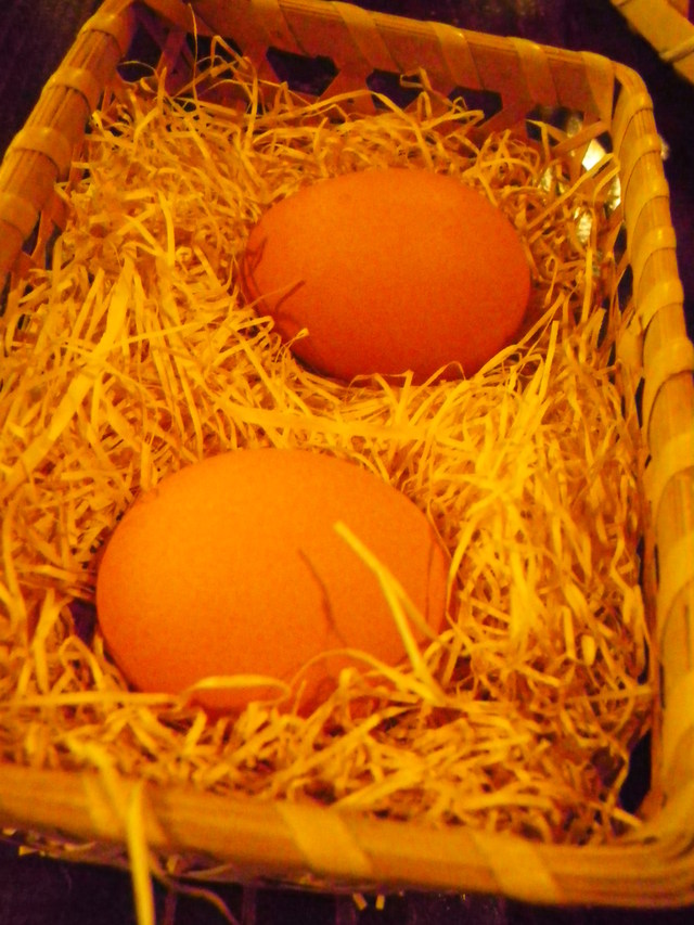 c0159828_7404425.jpg