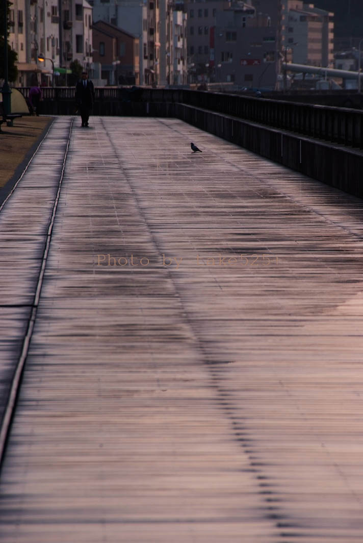 a0116946_6495848.jpg