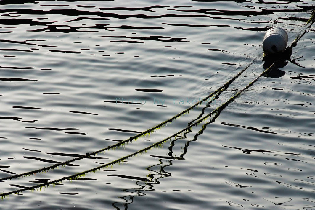 a0116946_650598.jpg