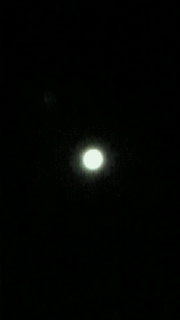 e0150849_19314944.jpg