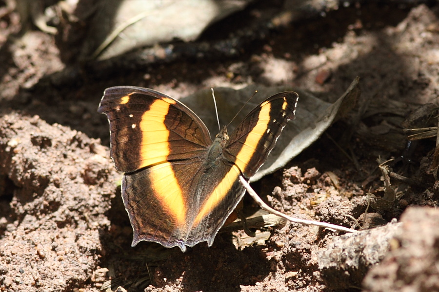 a0094850_9412459.jpg