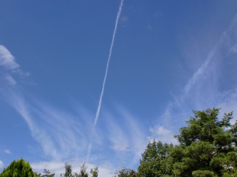 d0154954_14113640.jpg
