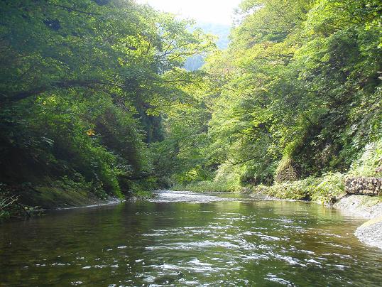 b0177355_21524660.jpg