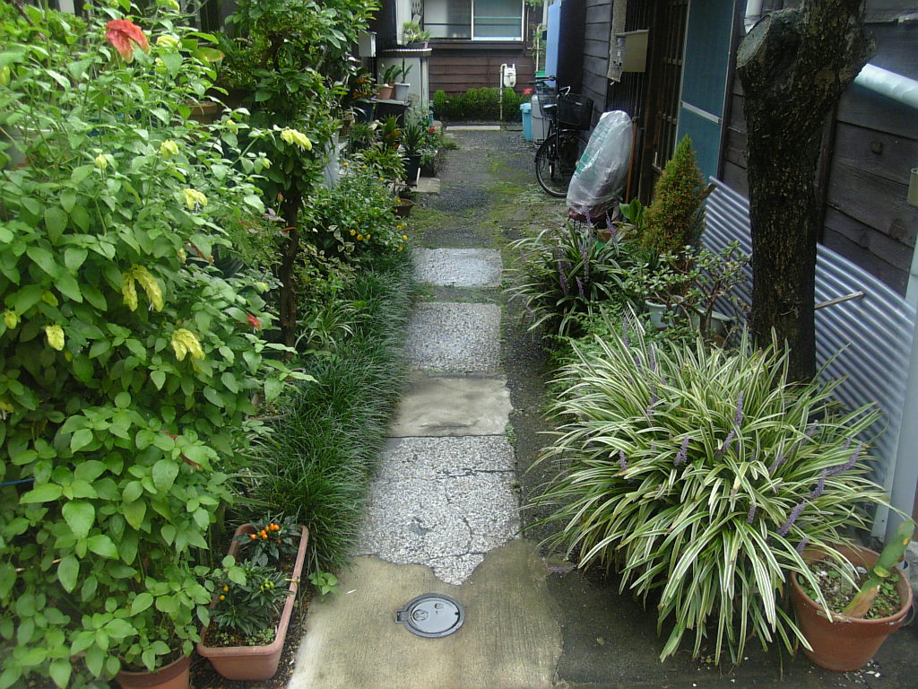 e0083359_9382365.jpg