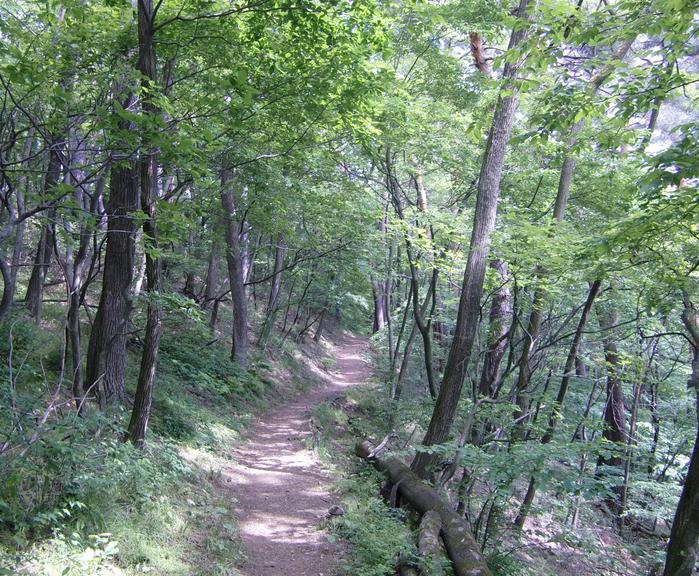 c0140260_22394551.jpg
