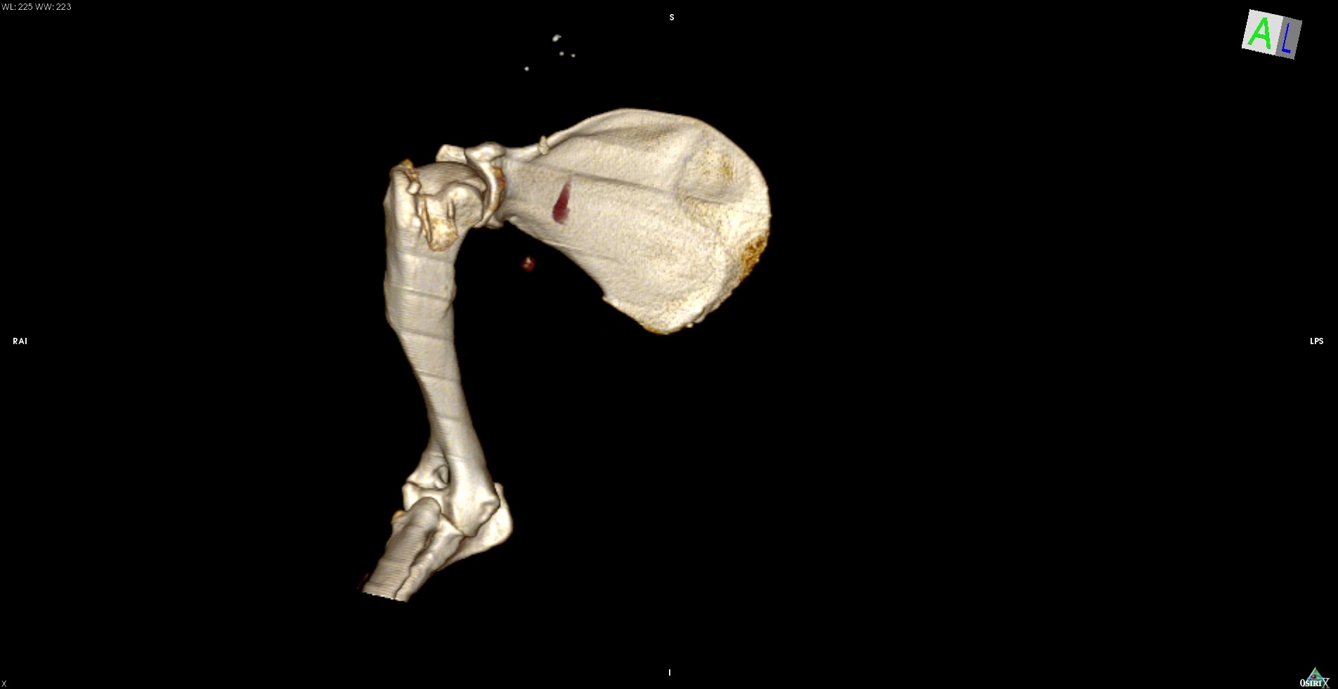 d0093462_82237.jpg