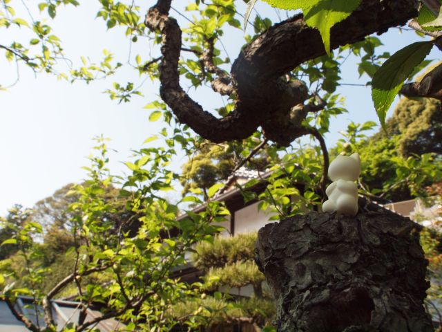 b0055663_14261950.jpg