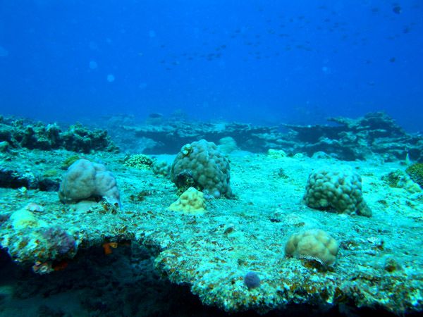 b0062363_19444289.jpg